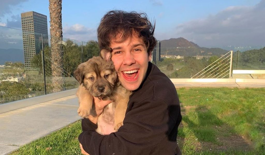 David Dobrik FINALLY Confirmed He’s In A Relationship And You’ll Recognise His Lady