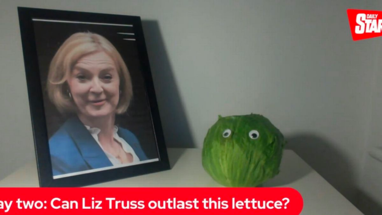 All The Best Reactions To UK PM Liz Truss Resigning After A Mere 45 Days
