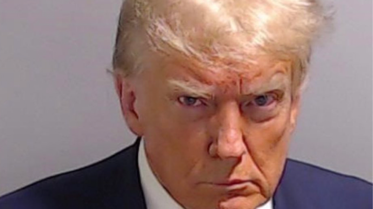 we-ve-collated-the-best-trump-mugshot-memes-just-for-you